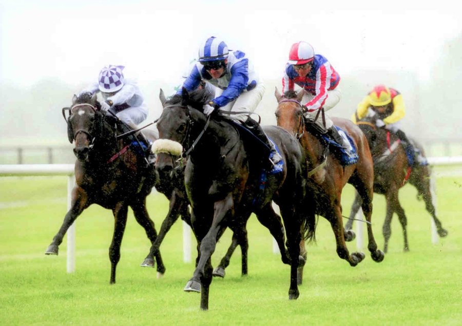 EXOGENESIS - winning his maiden at Fairyhouse 12th June